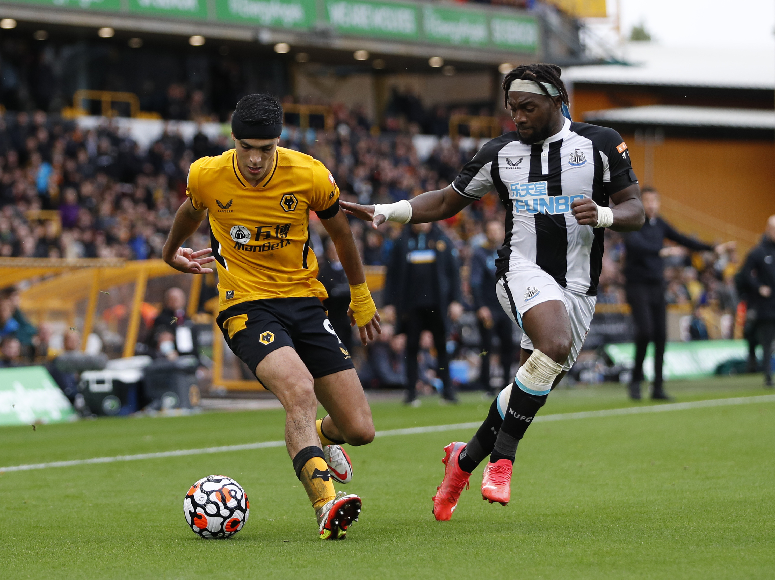 广东东阳光 广东东阳光